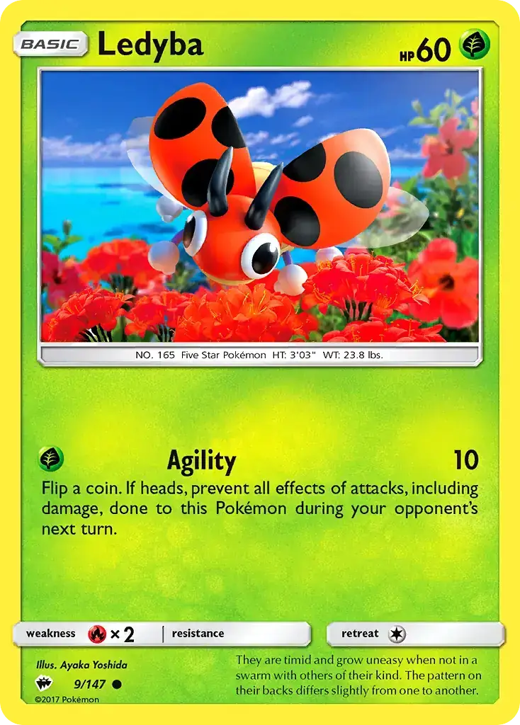Ledyba
