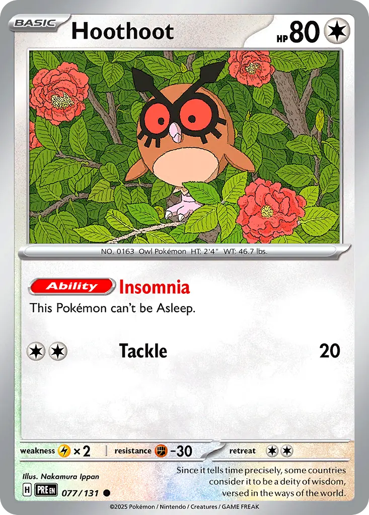 Hoothoot