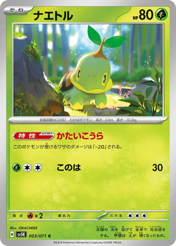 Turtwig